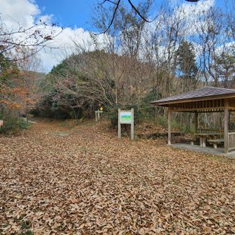 東屋でランチに