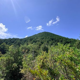 振り返れば近江富士🗻

ここからのフォルムも素敵