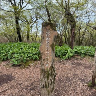 ガイリーンの第2のボス？三国山。後はラスボスの屏風山のみ。