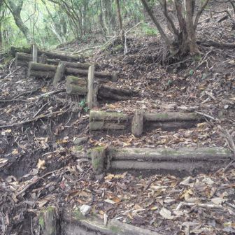 はなぐり登山口駐車場過ぎてからの階段。段差が高くてキツい😵
