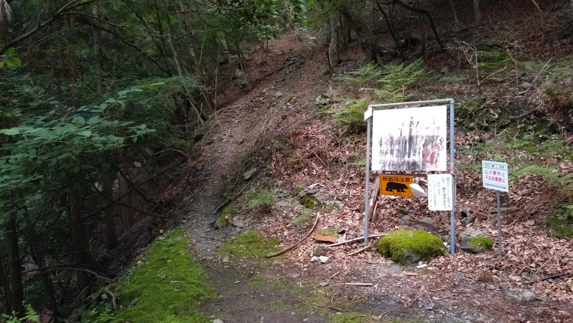 さて、意を決して登山開始❗️😆