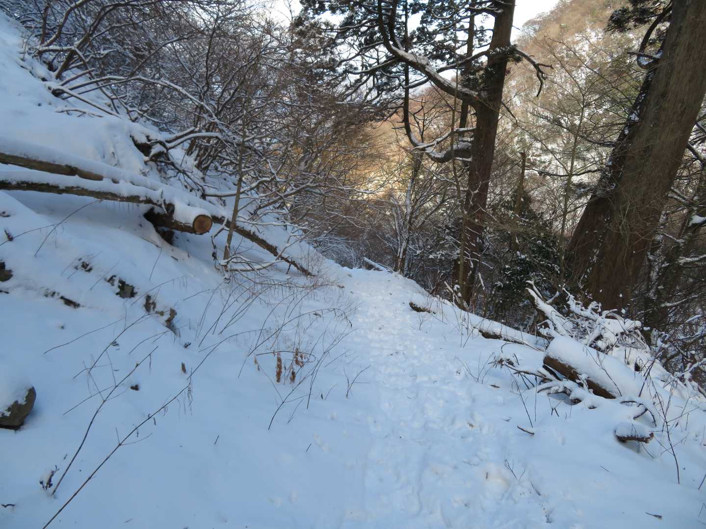 ボッカ道を下山しました。