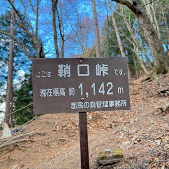 　鞘口（さやぐち）峠まで下りてきた。東側のルートはすでに日陰となり肌寒く、歩く人の姿はまばらだった。