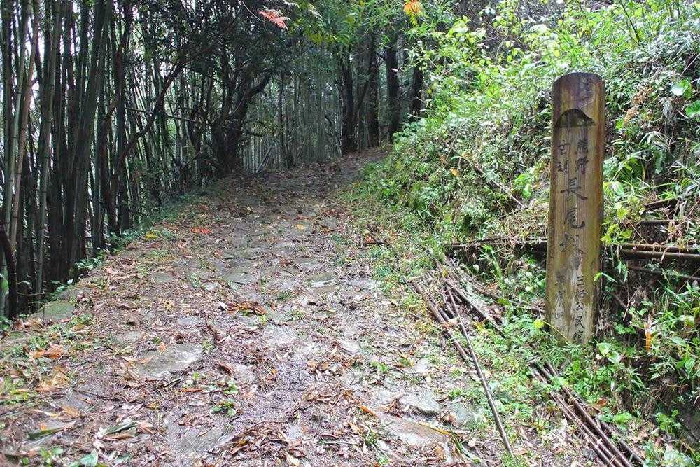 下三栖～覗橋の写真