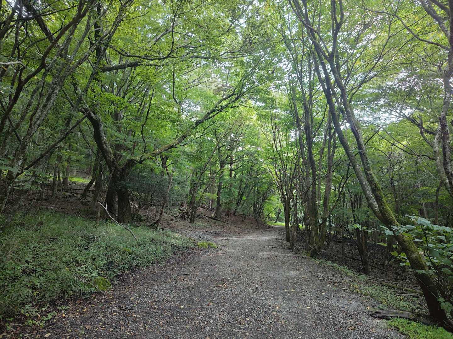 山歩