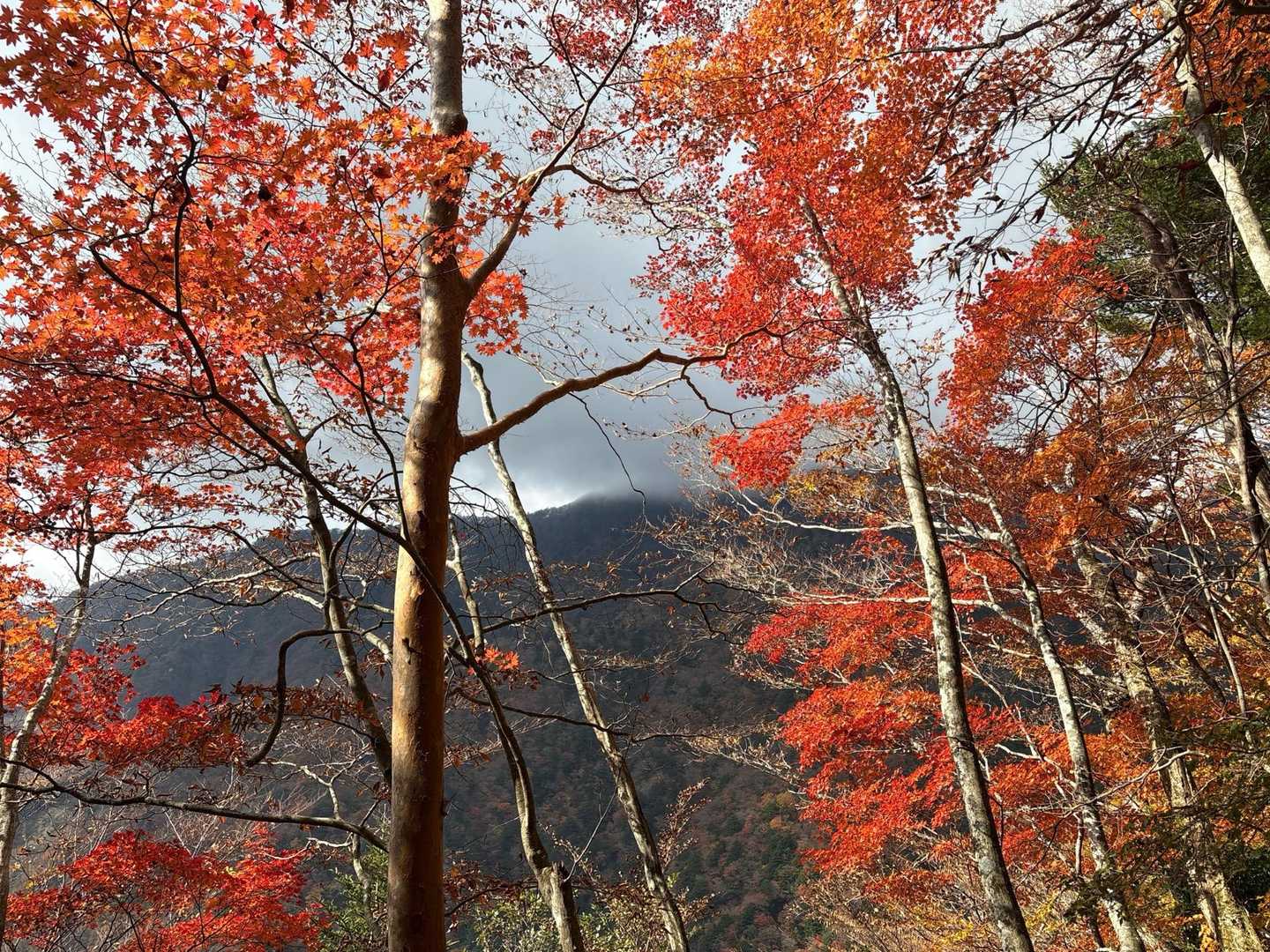 山の上の方に雲がかかっている☁️