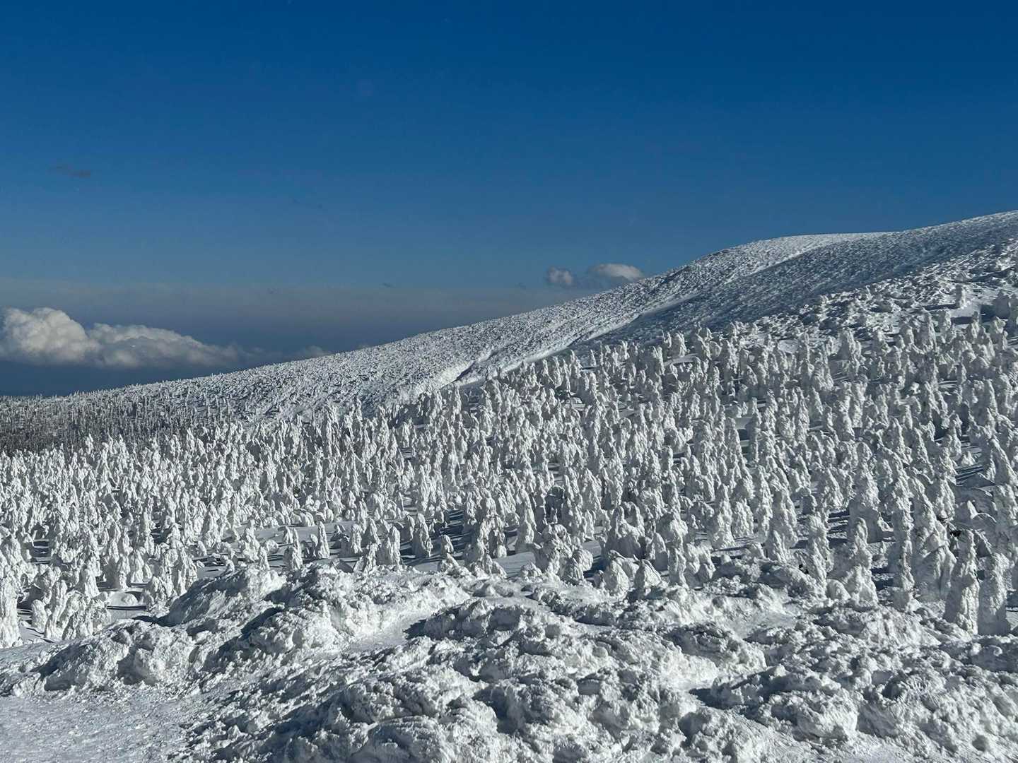 地蔵山頂駅-蔵王山 往復コースの写真