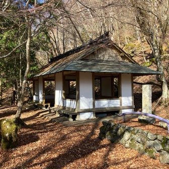 戻って来ました。