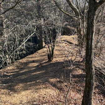 写真は関係有りませんが　行きの高速で上野原から下って談合坂の坂に向かうところでやけに遅いクラウンがいたので追い越したら　覆面パトカーで😅危なく新春第一弾になるところでした💦幸い車にパワーが無いので登り坂で捕まるほどスピードがでません😄