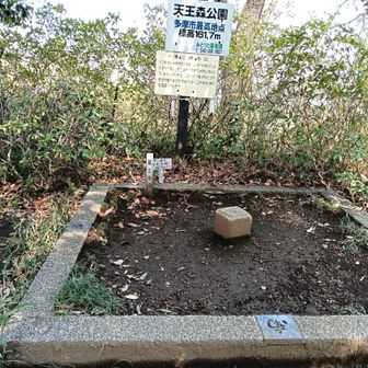 多摩市最標高点
