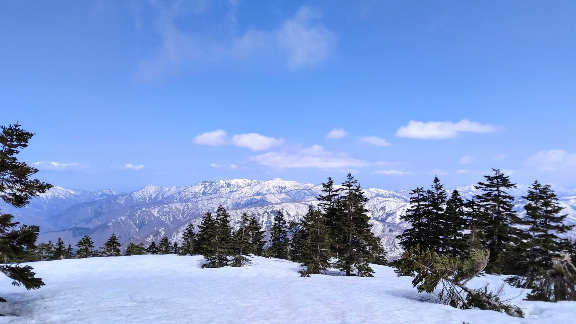 猿ヶ馬場山の写真