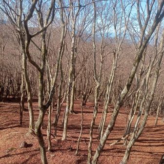 稜線には、こんな素敵な場所も