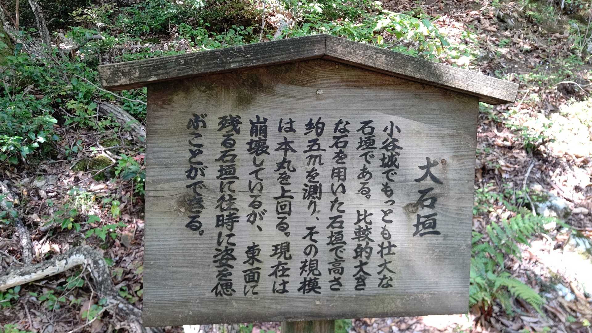 フムフム