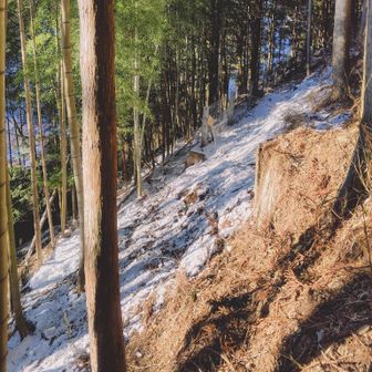斜めになった登山道に雪がうっすら被っており、慎重に足を進める