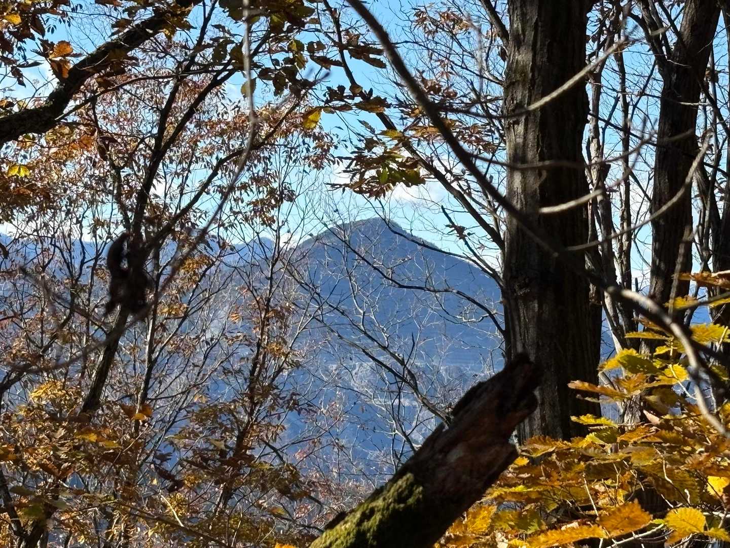 木々の間から武甲山が見えます