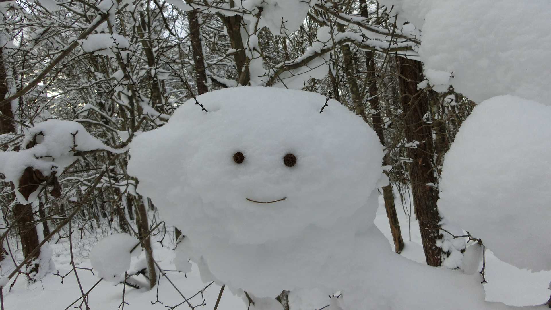 その４はよく見るとその１とほぼ同じじゃんか🤣すいません💦