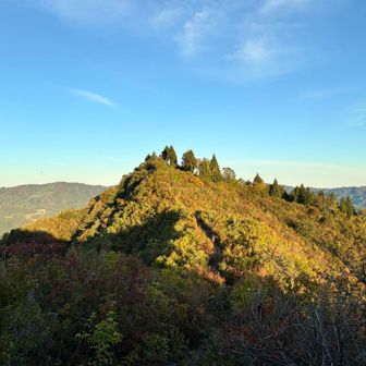 朝陽を浴びる坂戸山山頂