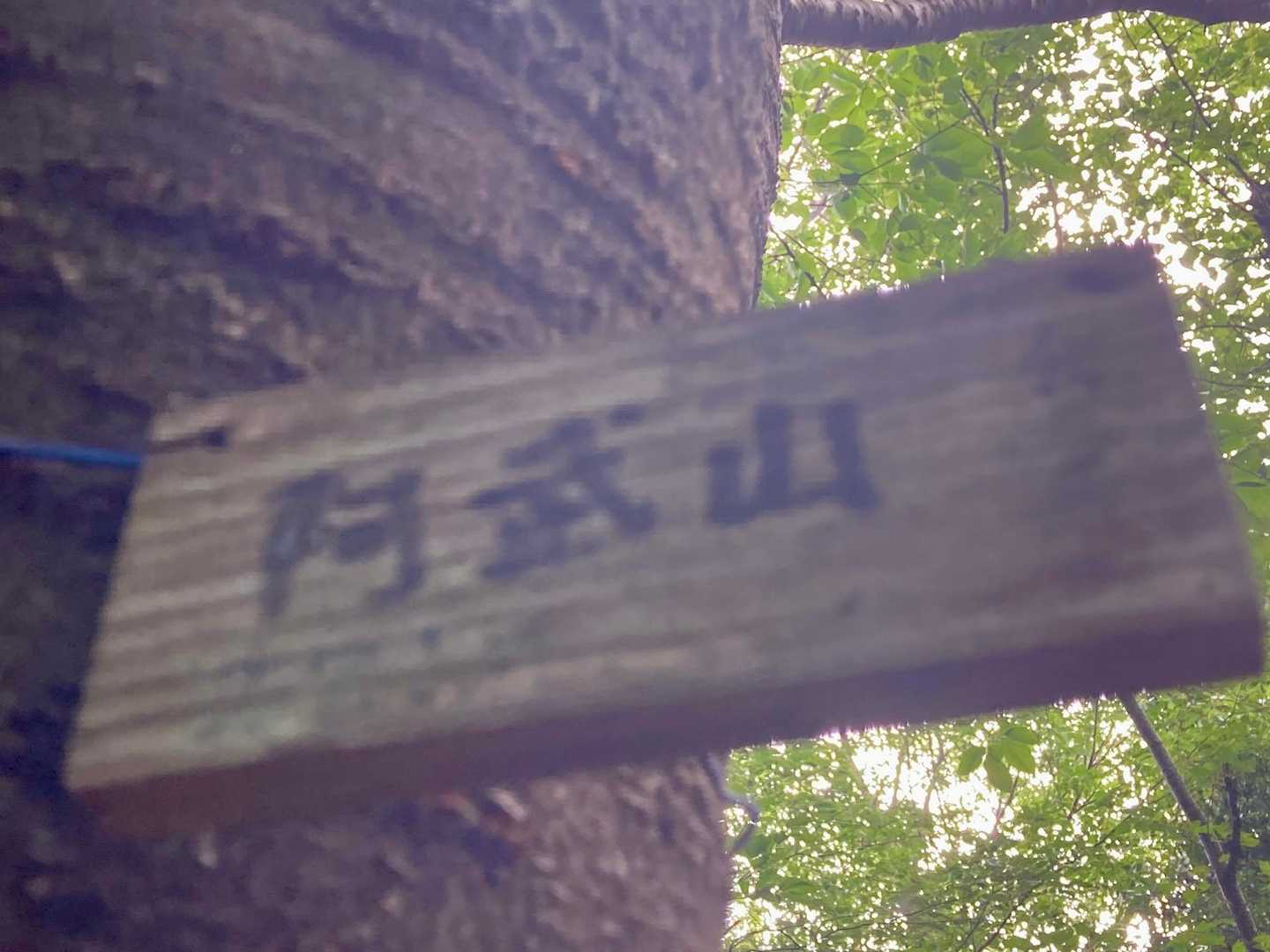 阿武山③