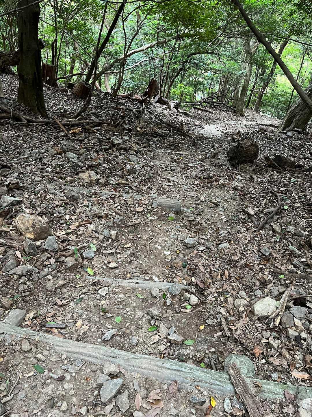 下山は、小石と落ち葉で何度も滑りそうになりながら