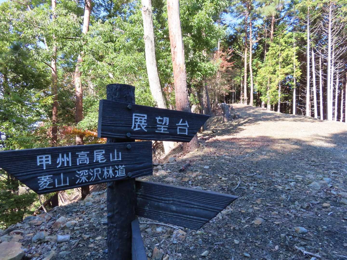展望台の分岐
もちろん展望台に向かいました。