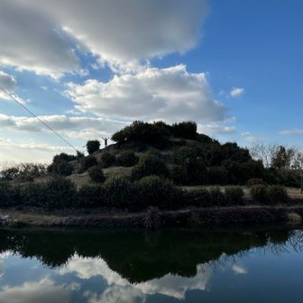 こちらの古墳は登れます