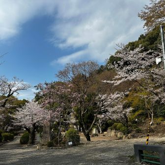綺麗かった〜私だけ先においとまします