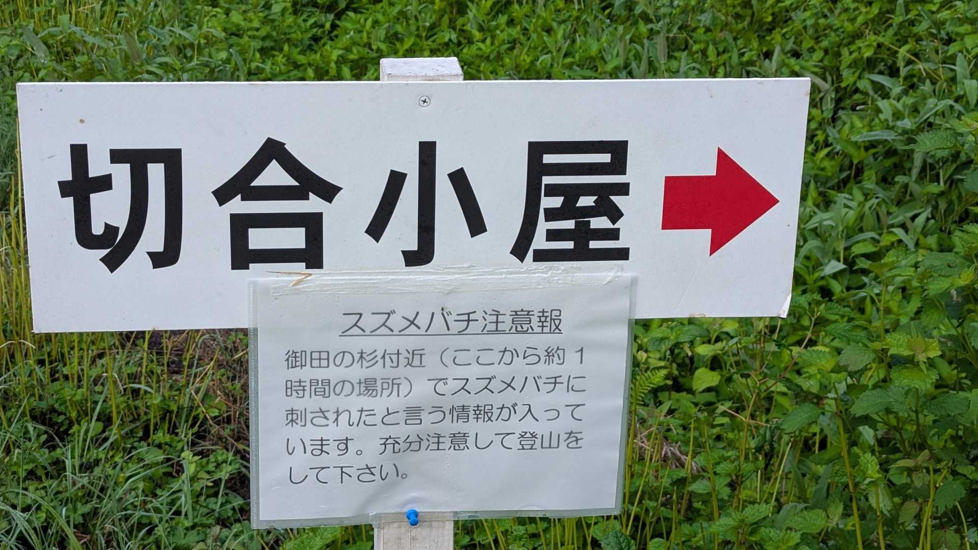 行き帰りスズメバチはおりませんでした