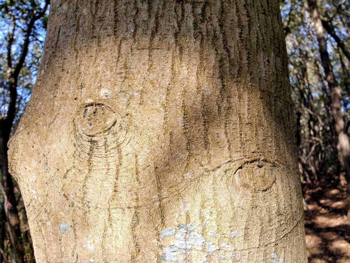 見つめられている気が…😓