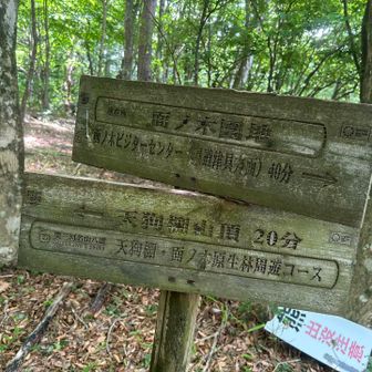 山頂まで20分の短いコース。