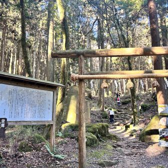 鳥居をくぐってスタート