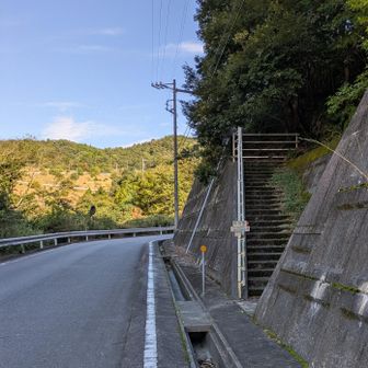 巡礼の道の入り口
ここからは初めて歩きます