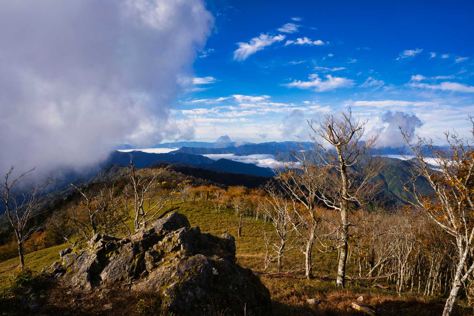 太尾登山口-古田ノ森-千丈平-釈迦ヶ岳-大日岳 往復コースの写真
