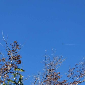 空を駆けて行く