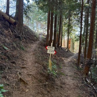 左側に行くと百蔵山登山口駐車場🅿️