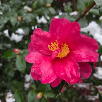 御幸橋駐車場到着～
おつかれさん～👍