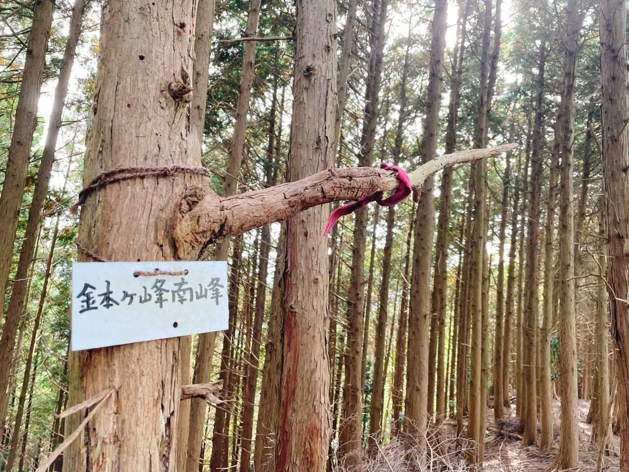 どんどん行きます