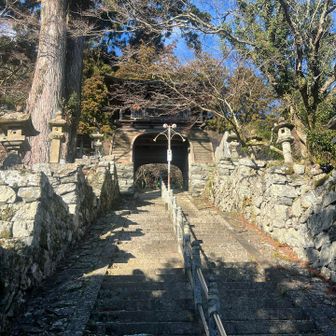 来ましたにょいりんじ。