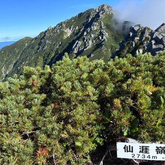仙涯嶺の山頂プレート