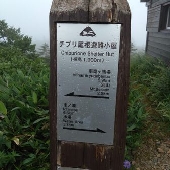 初めましての避難小屋。これまでは屋根しか見たことがなかったです😁