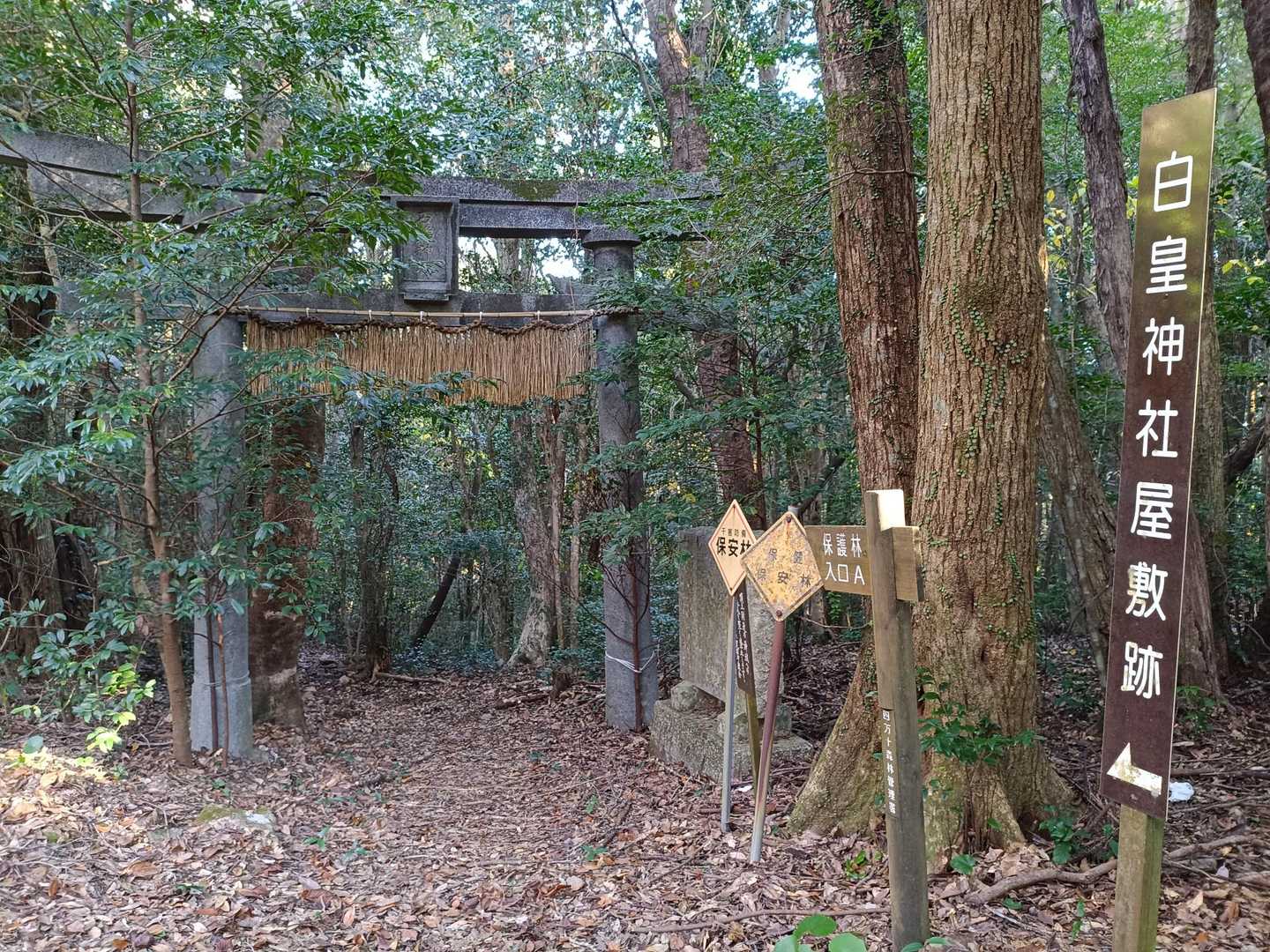 入山します！