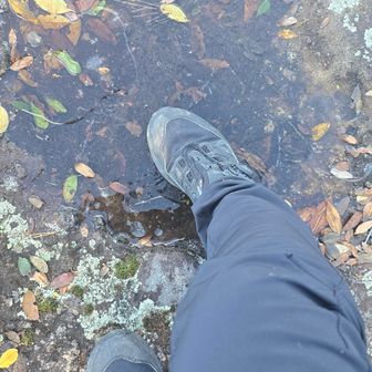 水たまりが凍ってた