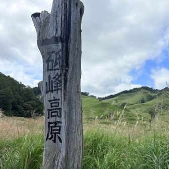 平日で人はまばら
ススキ🌾の本格シーズンに向けて駐車場周辺を作業されていました
