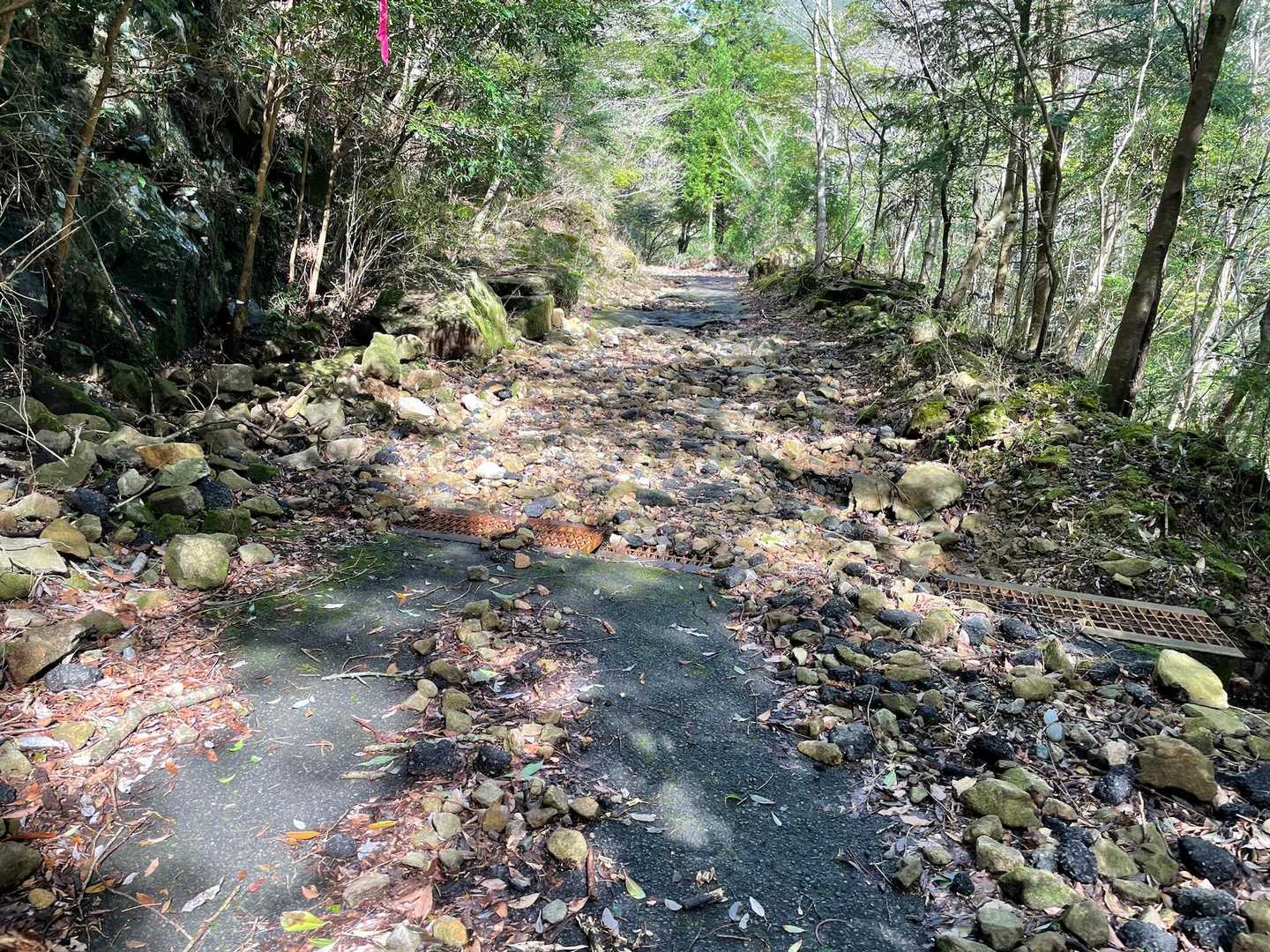 相変わらずの荒れ模様の林道です。