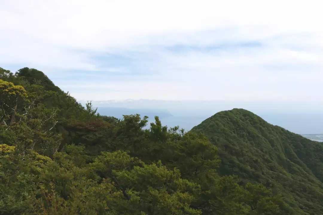 呼子岳の写真