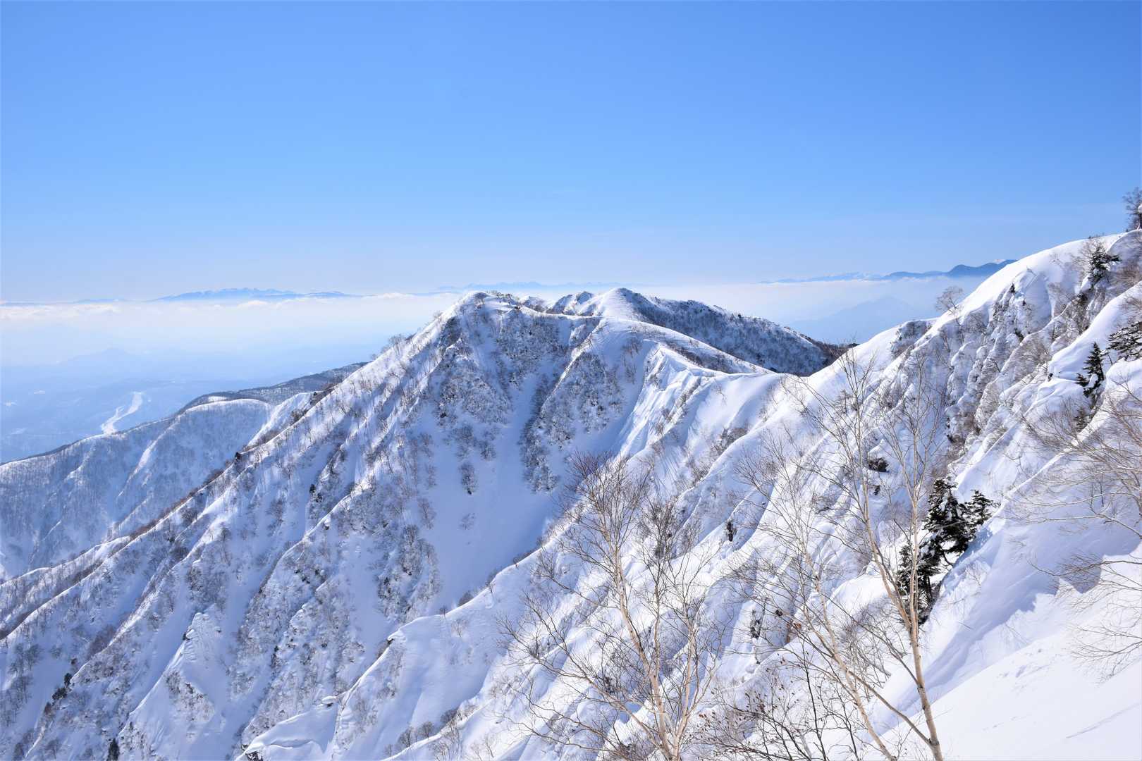 天狗岳へ行く事も考えましたが
小遠見より低いので登り返しが嫌でスルー💦
