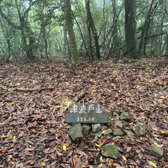 ひっくり返しておいてありました😅