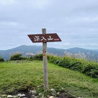 山頂はススキが凄くキレイ 🌾