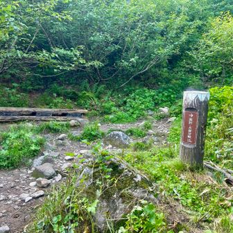 ここから登りや
