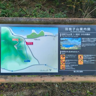 朝は登り直登しました。