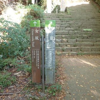 男坂、女坂の分かれ道